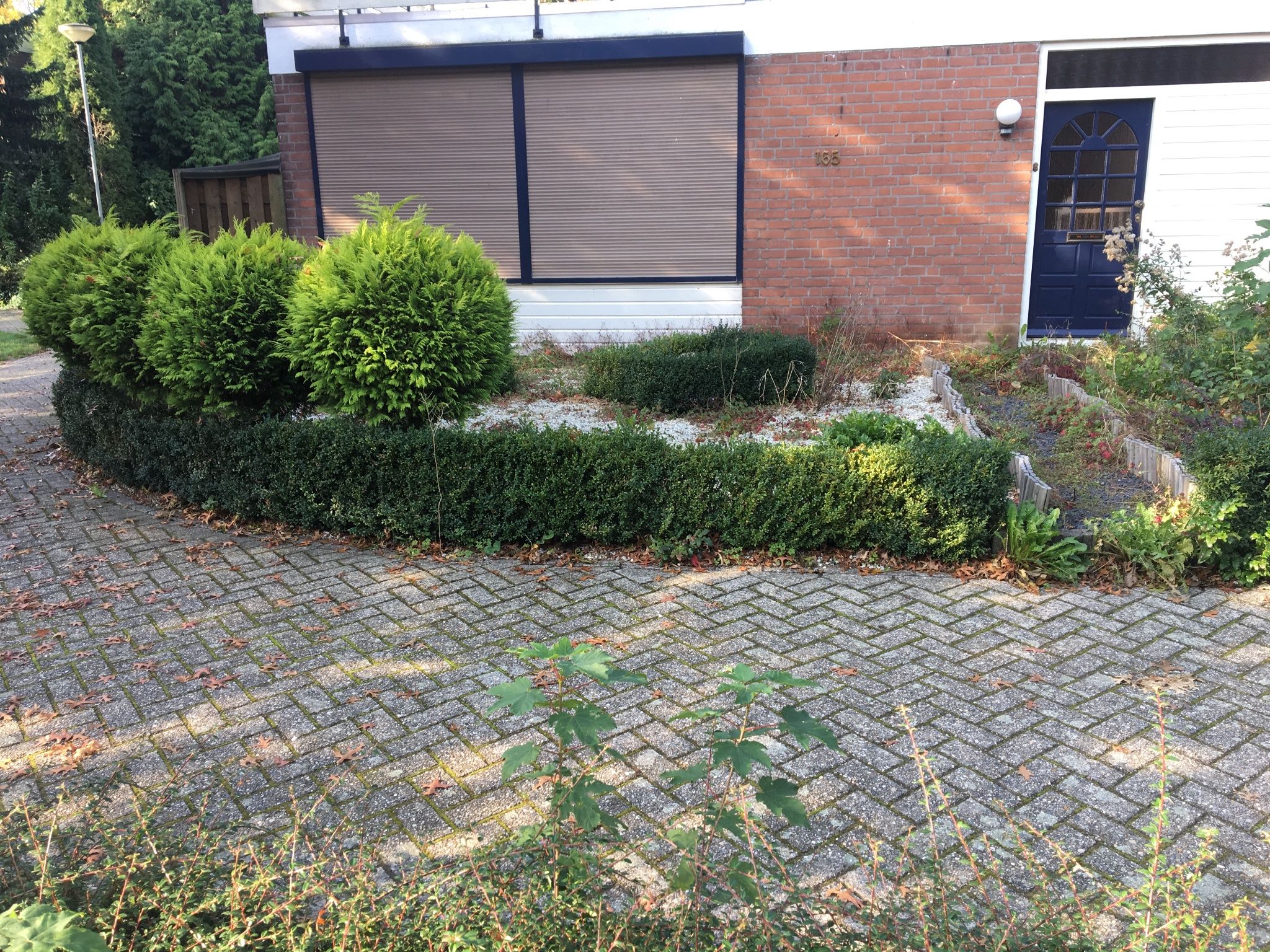 Tuin onderhouds vrij maken Werkspot