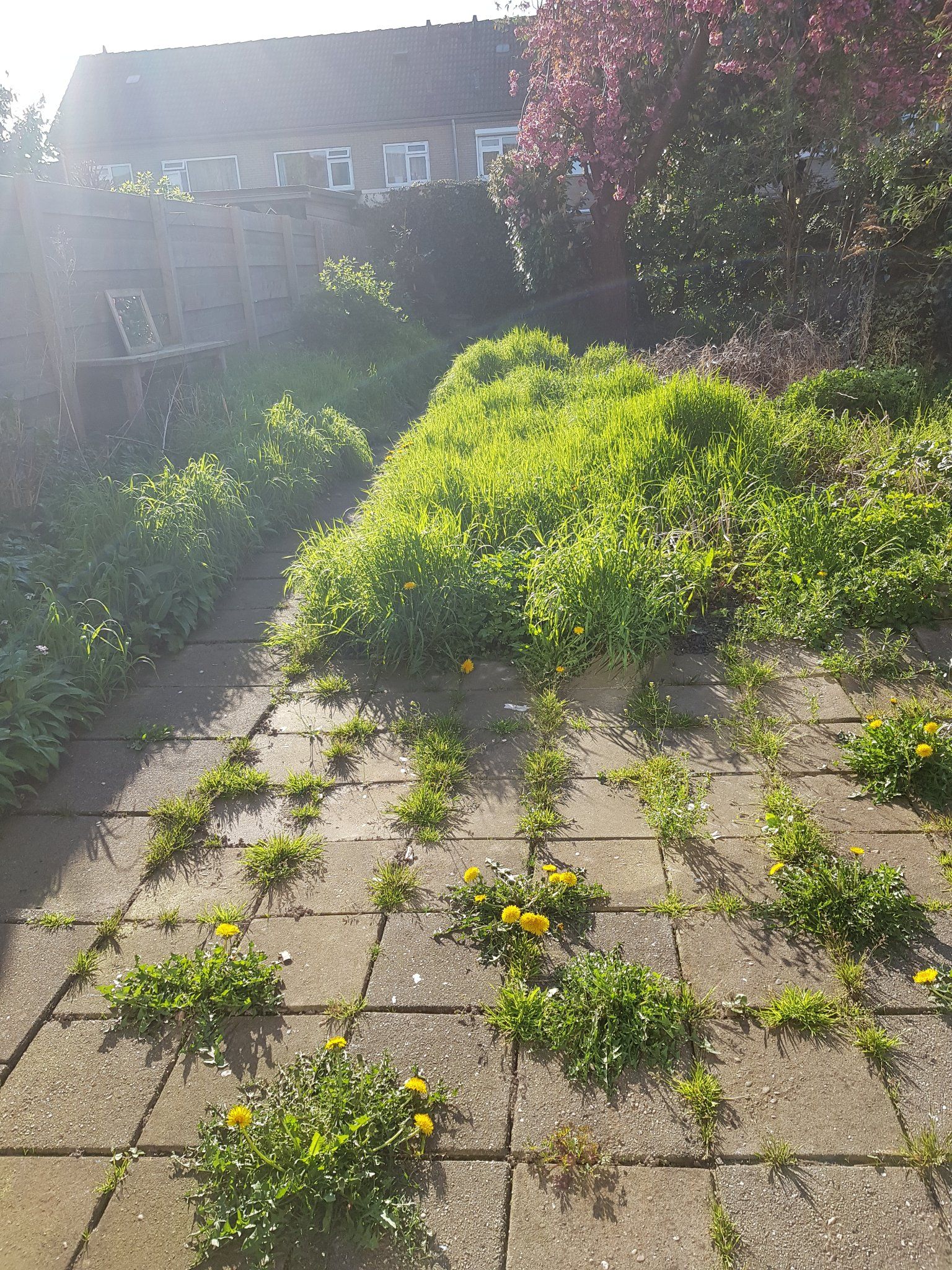 Uitgraven tuin Werkspot