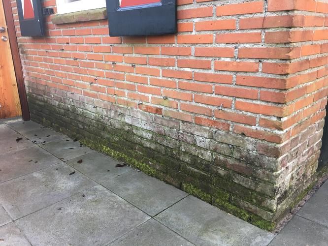 Schoonmaken / restaureren muur en (stenen) omheining voortuin Werkspot