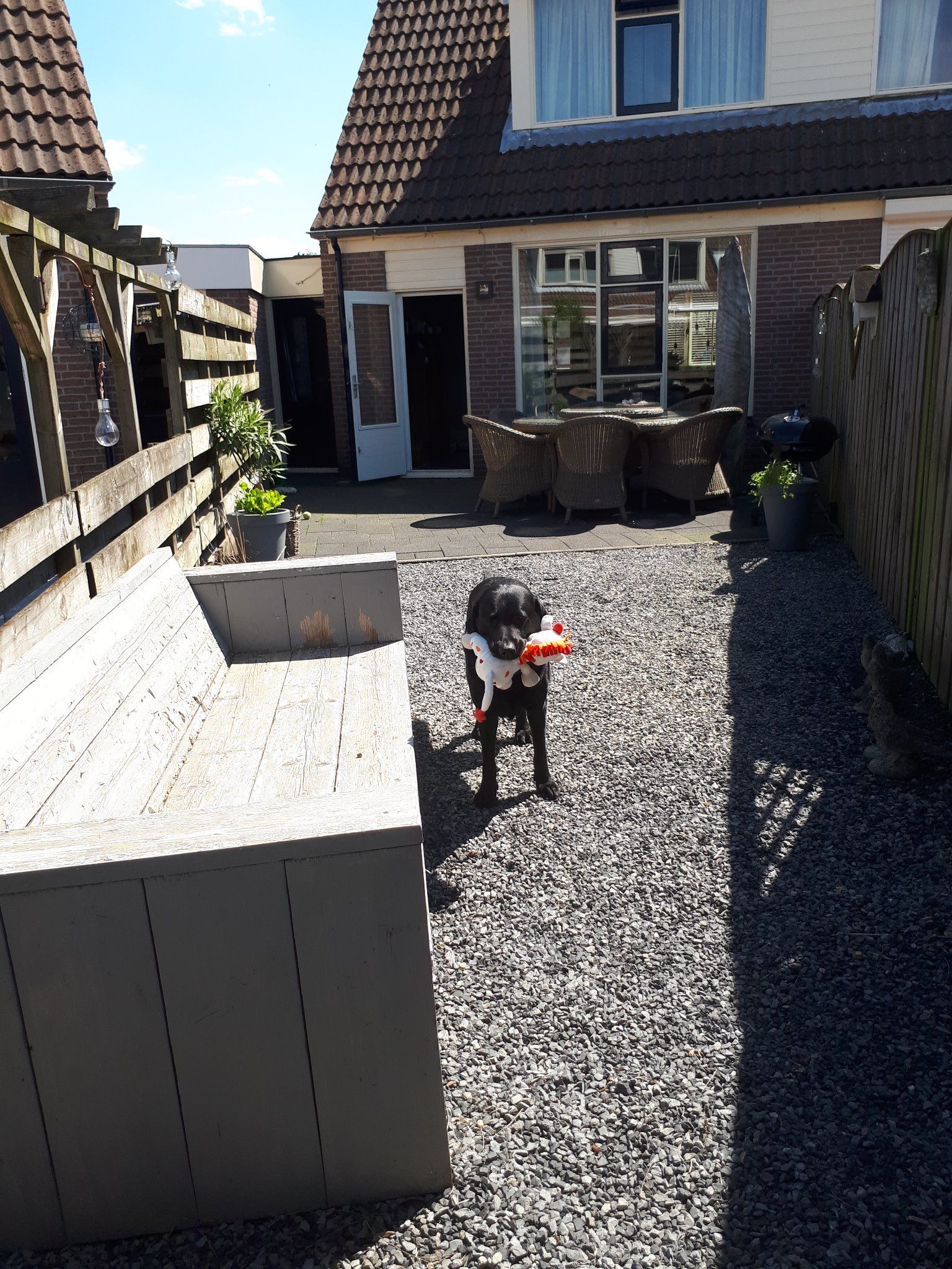 tuin aanleggen Werkspot