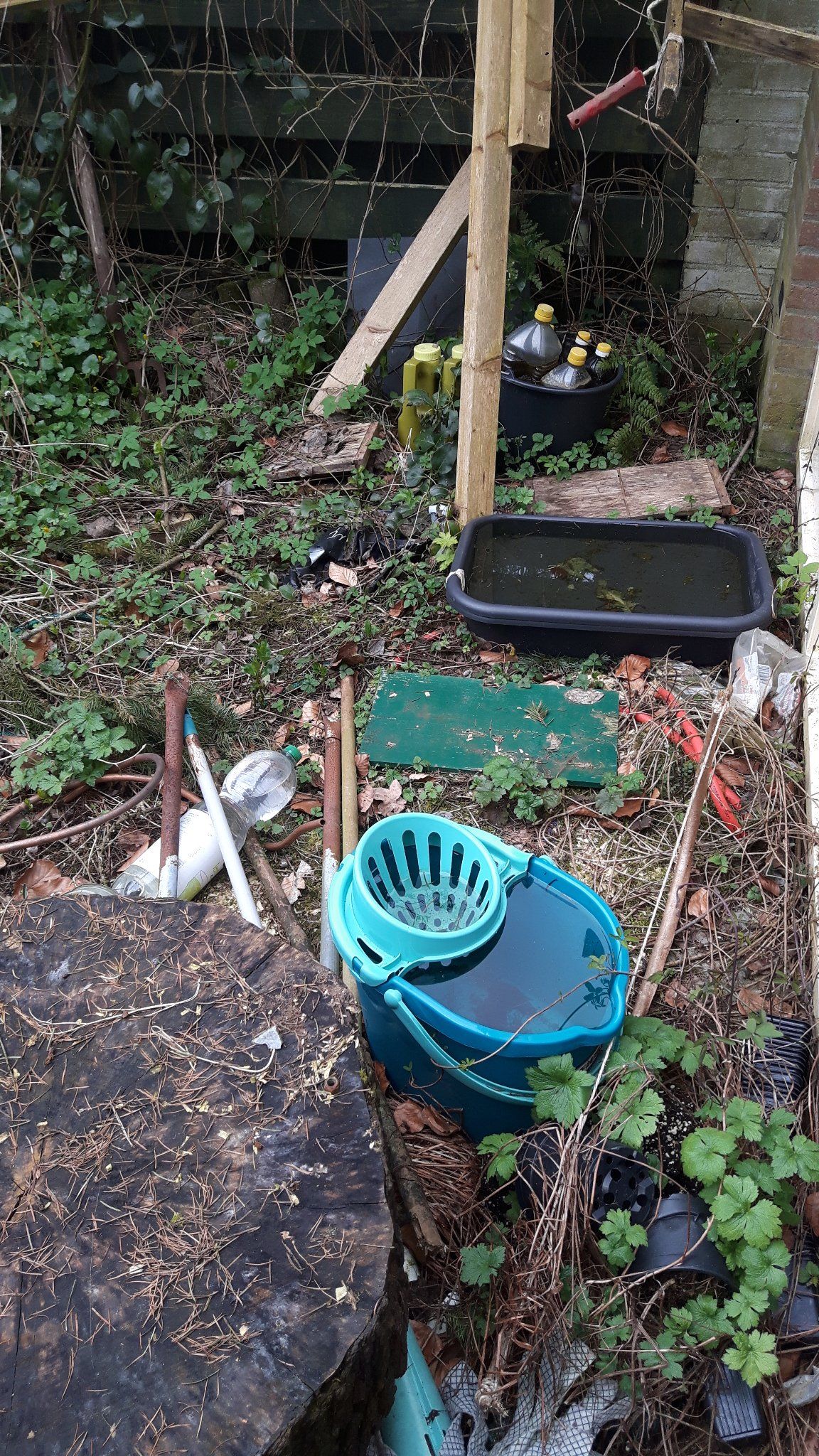 Tuin leegruimen en schoonmaken Werkspot