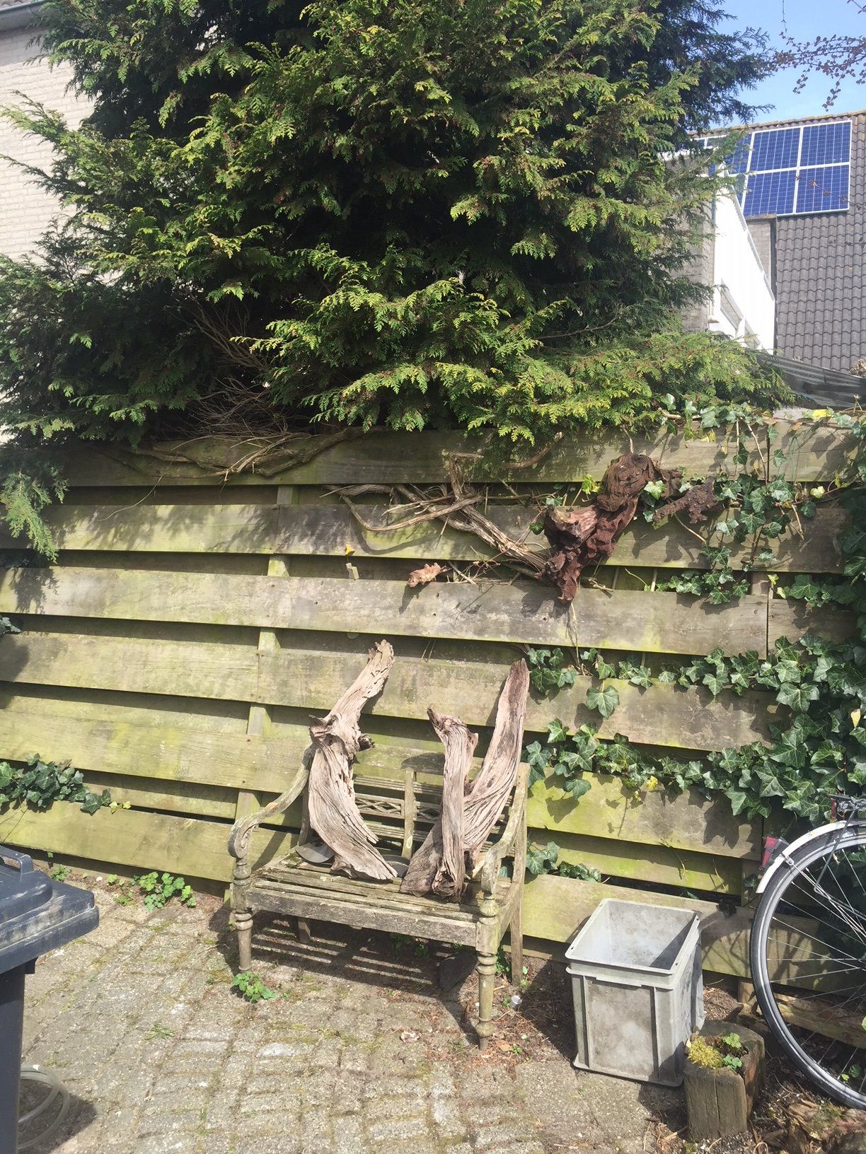 Bielzen uit de tuin Werkspot