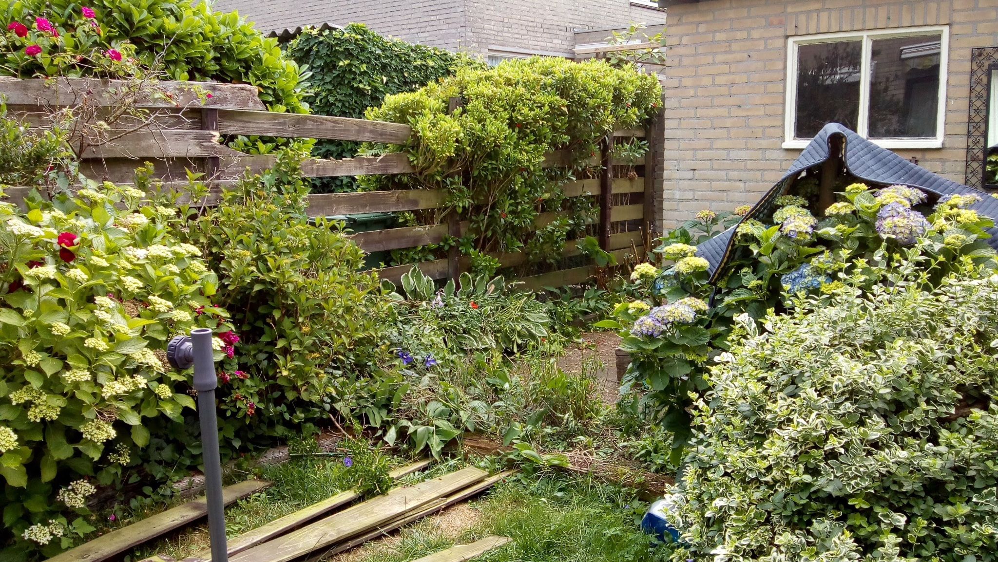 Tuin helpen vrijmaken/afgraven en opruimen ivm nieuwe schutting Werkspot