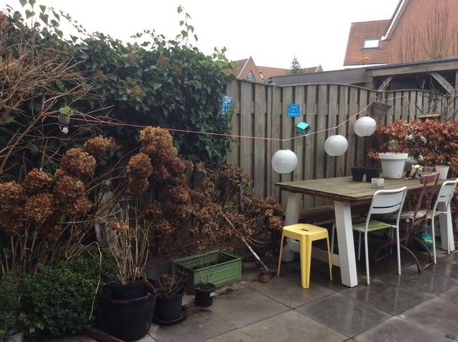 Winterklaar maken tuin 50m2 (mn snoeien) Werkspot