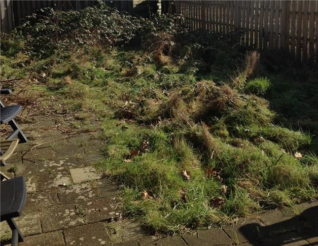 Omspitten tuin en verwijderen doornstruiken Werkspot