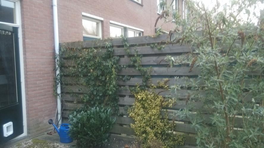 Afrastering plaatsen op schuttingen om de tuin om katten binnen te