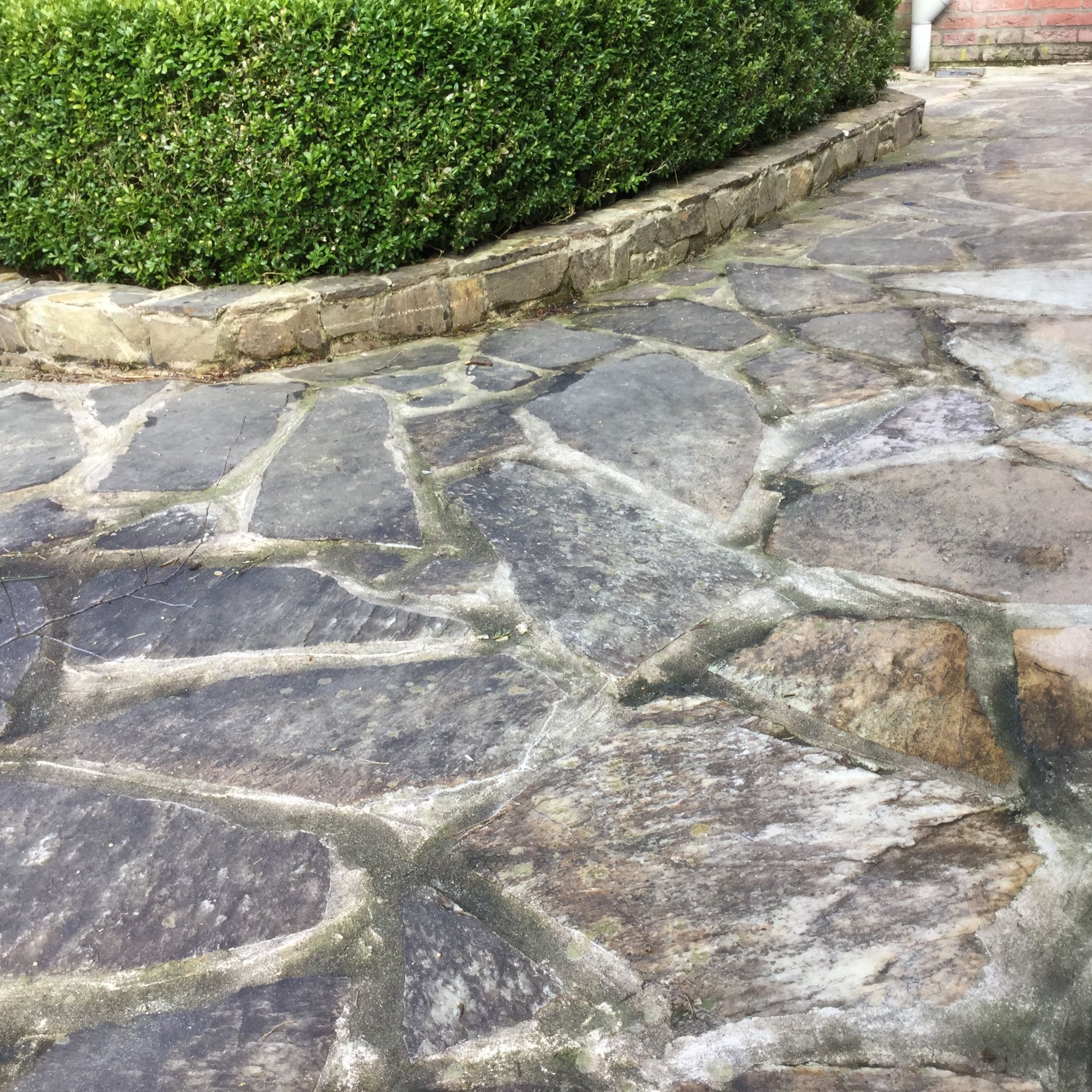 Flagstones in tuin zeer grondig schoonmaken Werkspot