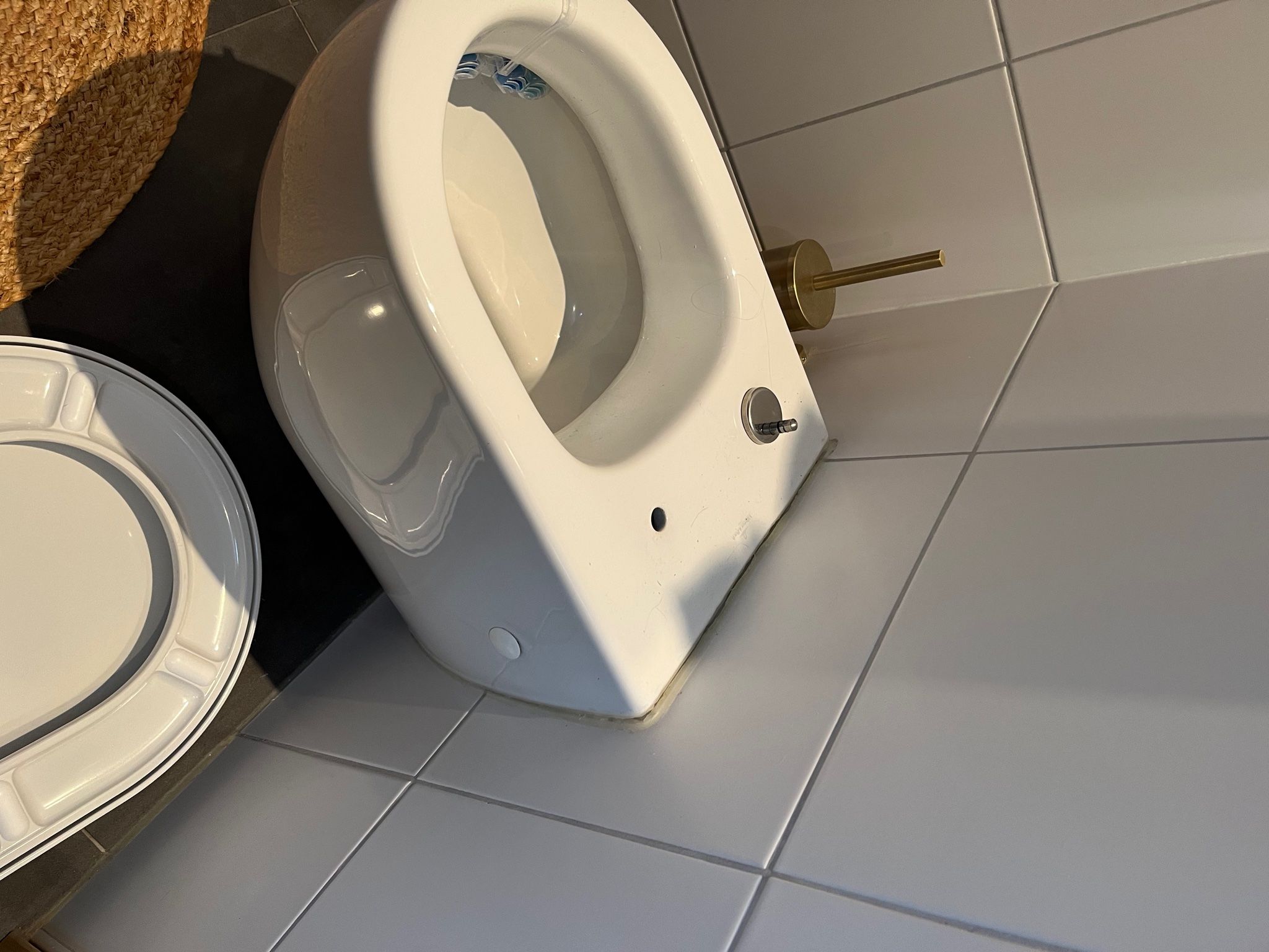 Toilet Repareren Wc Pot Vastmaken Aan Muur Bouten Moeren Aandraai