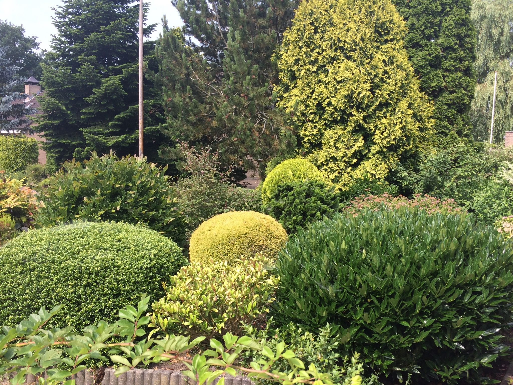 Struiken en bomen uit tuin verwijderen Werkspot