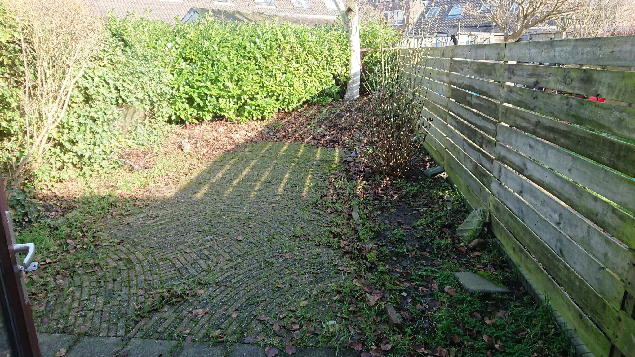 Tuin leeghalen Werkspot