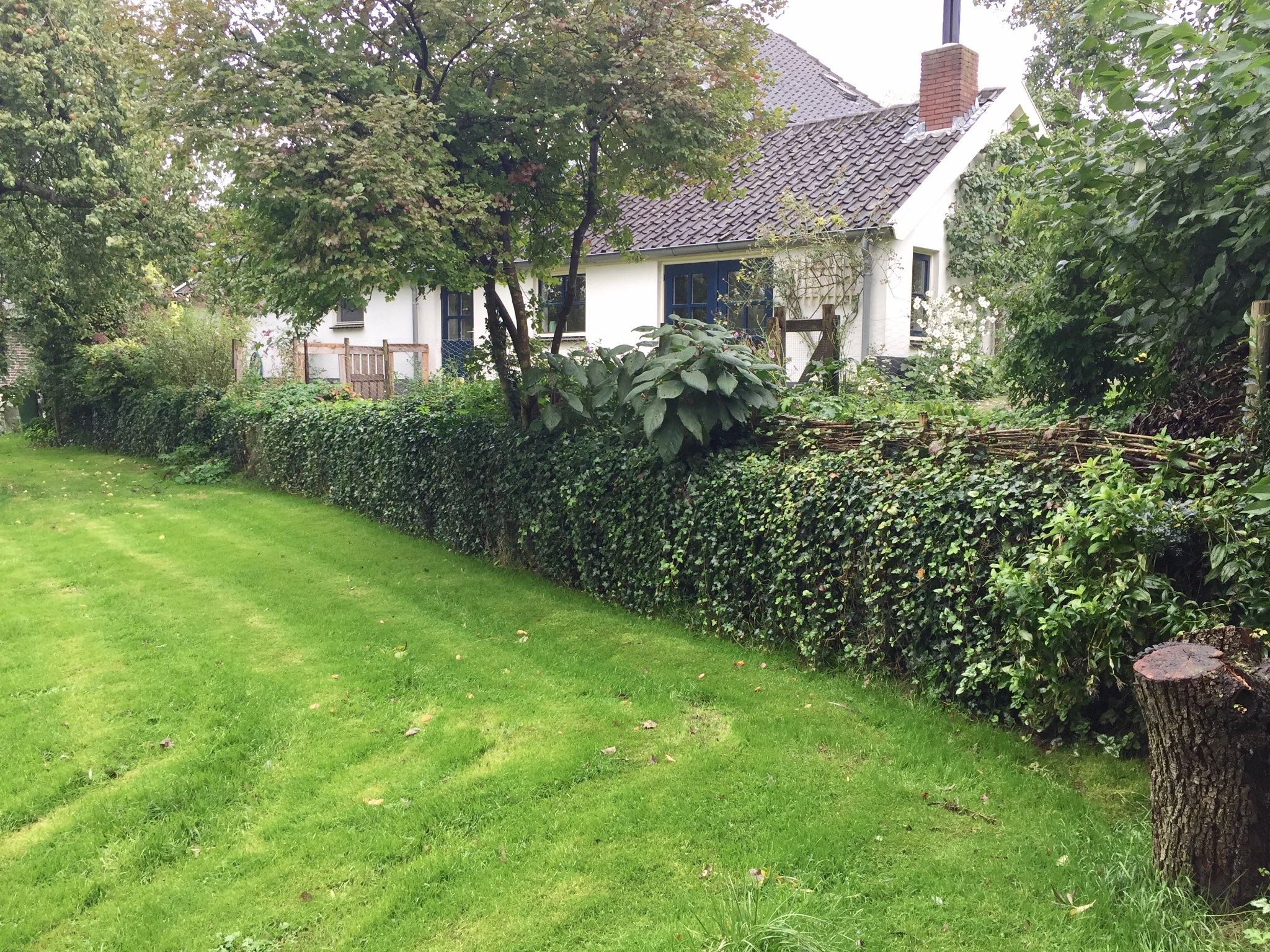 Keerwand van 20m plaatsen in tuin, oude keerwand/beschoeiing vervangen