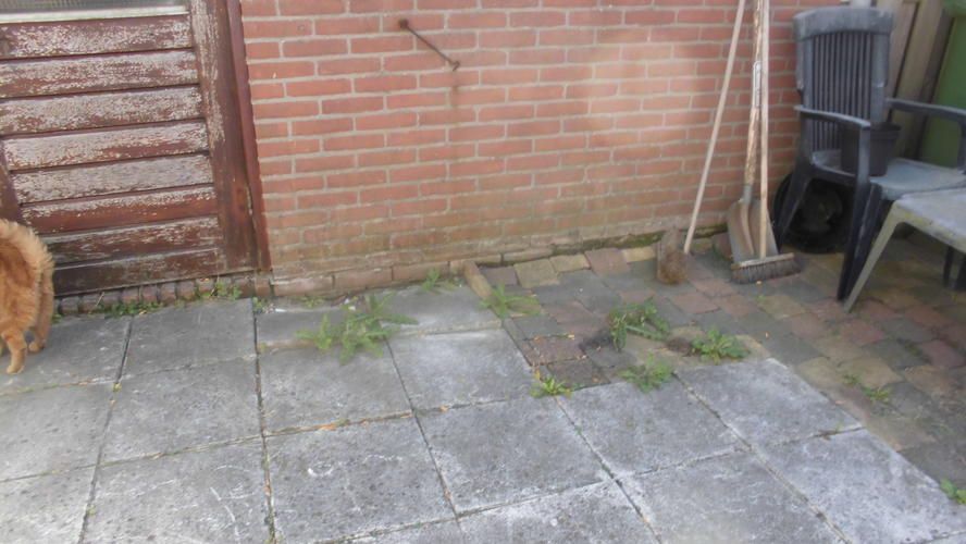 tuin egaliseren Werkspot