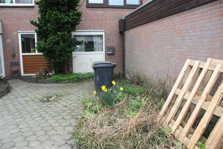 tuin tegels leggen Werkspot