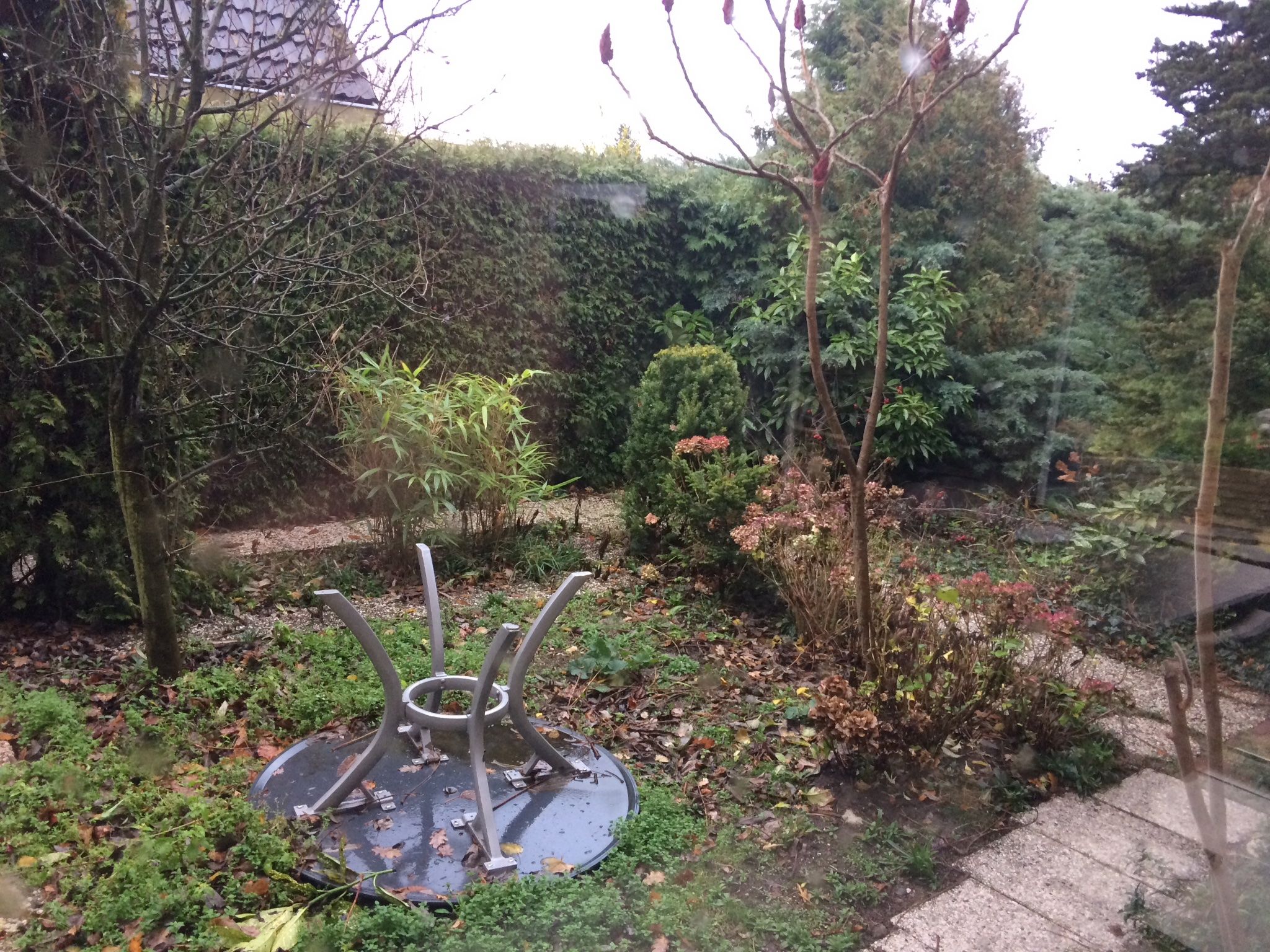 Tuin Winterklaar Maken Werkspot