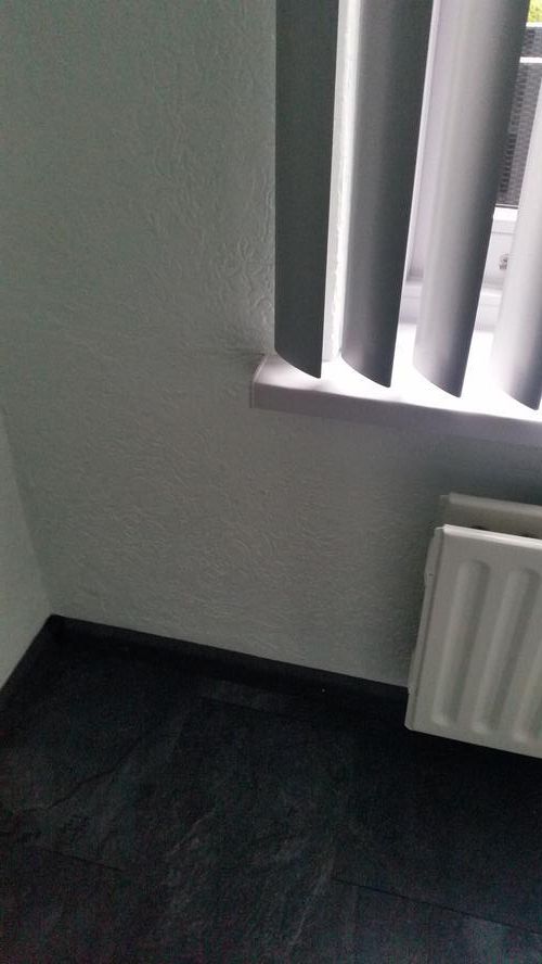 Plaatsen kattenluik muur Werkspot