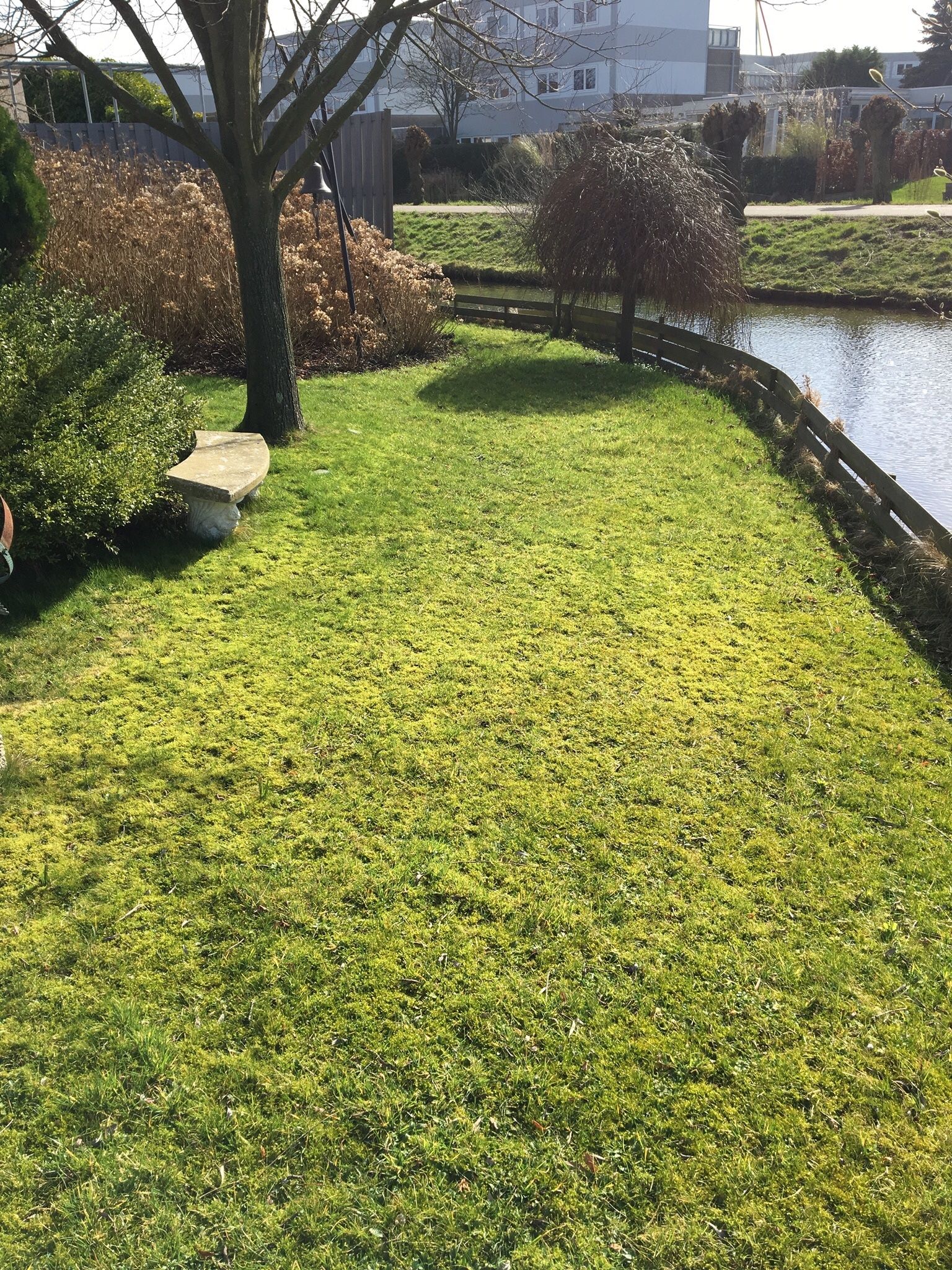 Gazon vernieuwen en hekje vervangen Werkspot