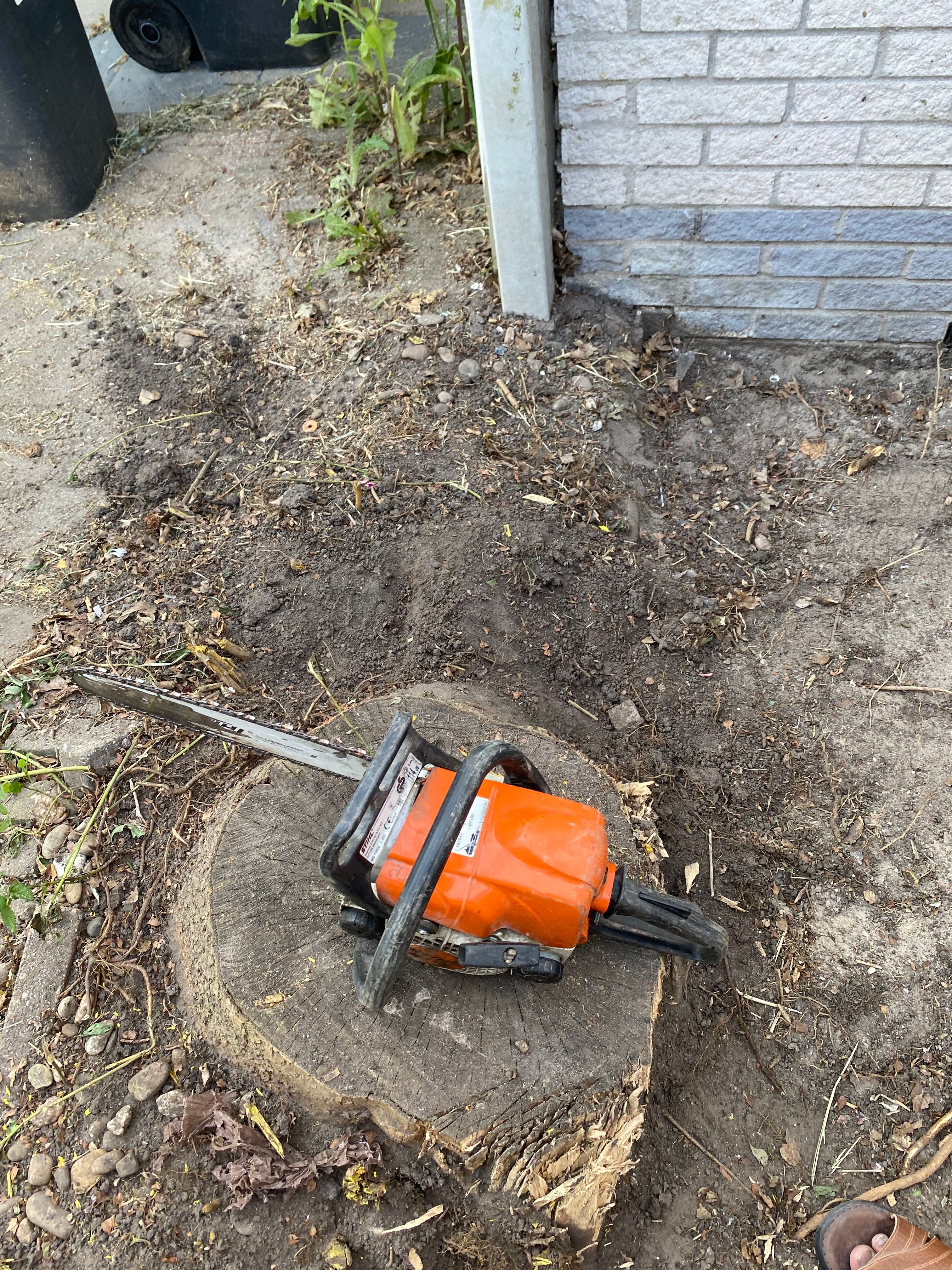 Tuin Boomstronk verwijderen; 1 boom Werkspot