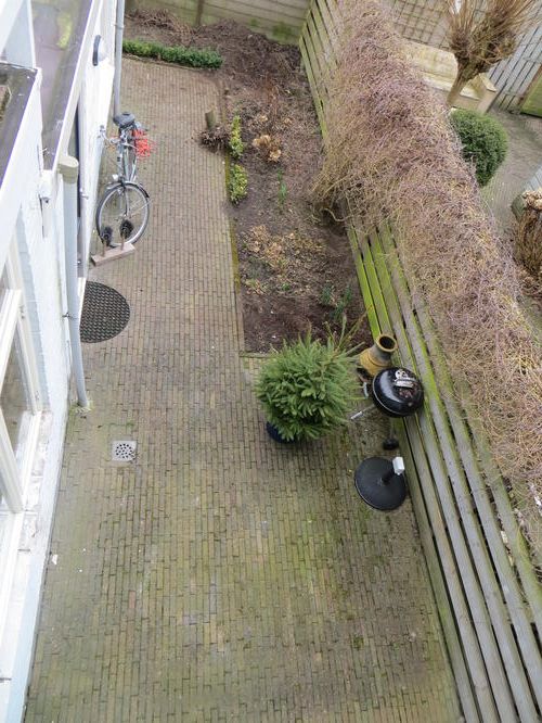 Tuin bestraten Werkspot