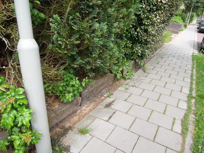 vervangen bielzen in tuin met hoogteverschillen Werkspot