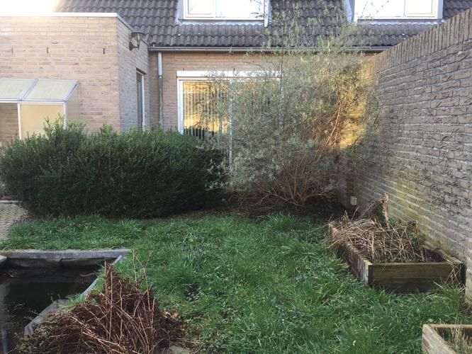 150m2 verwilderde tuin heraanleggen Werkspot