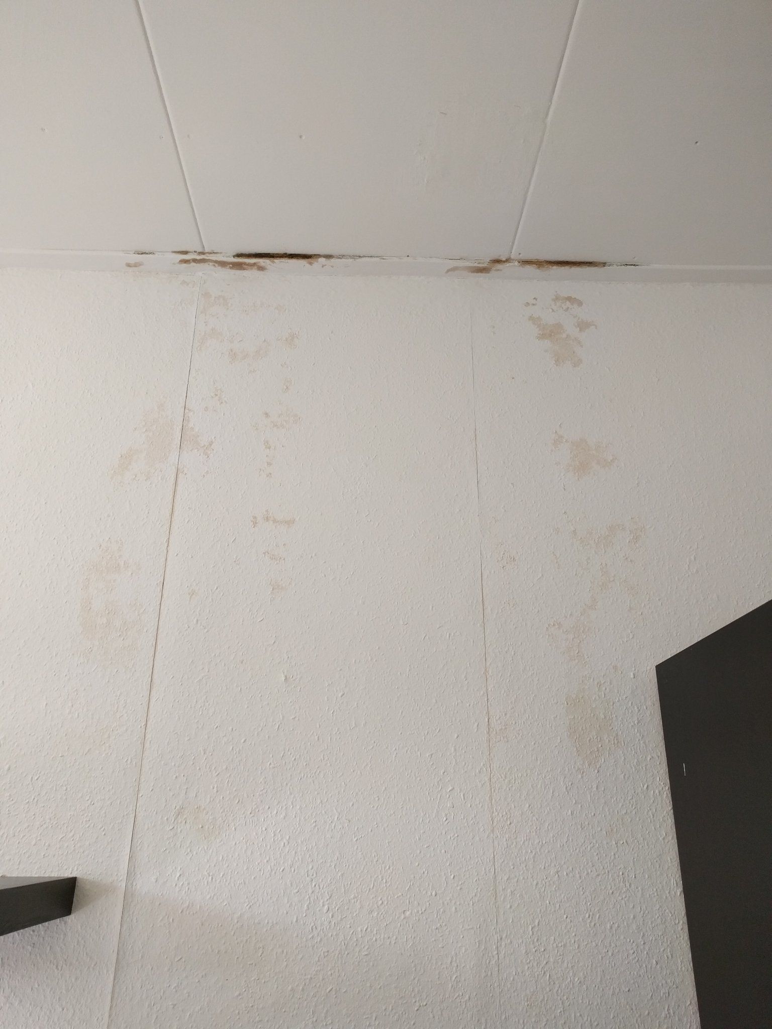 Beoordelen/herstellen Waterschade Plafond (gipsplaten) En Muur - Werkspot