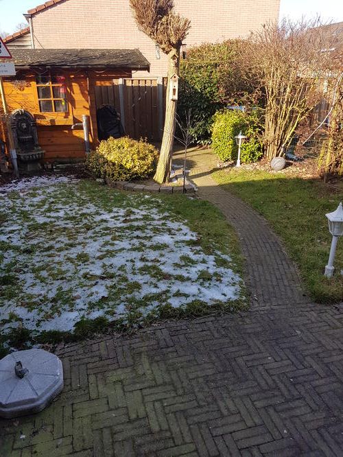 Aanleggen tuin Werkspot