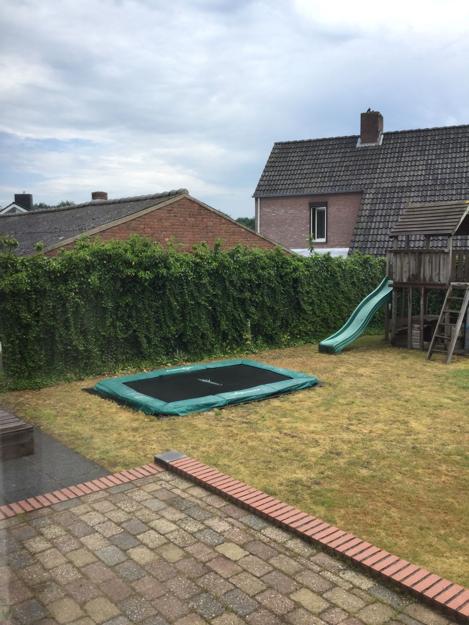 Tuin snoeien (voornamelijk klimop, 80 (l) bij 2 (h) meter) Werkspot