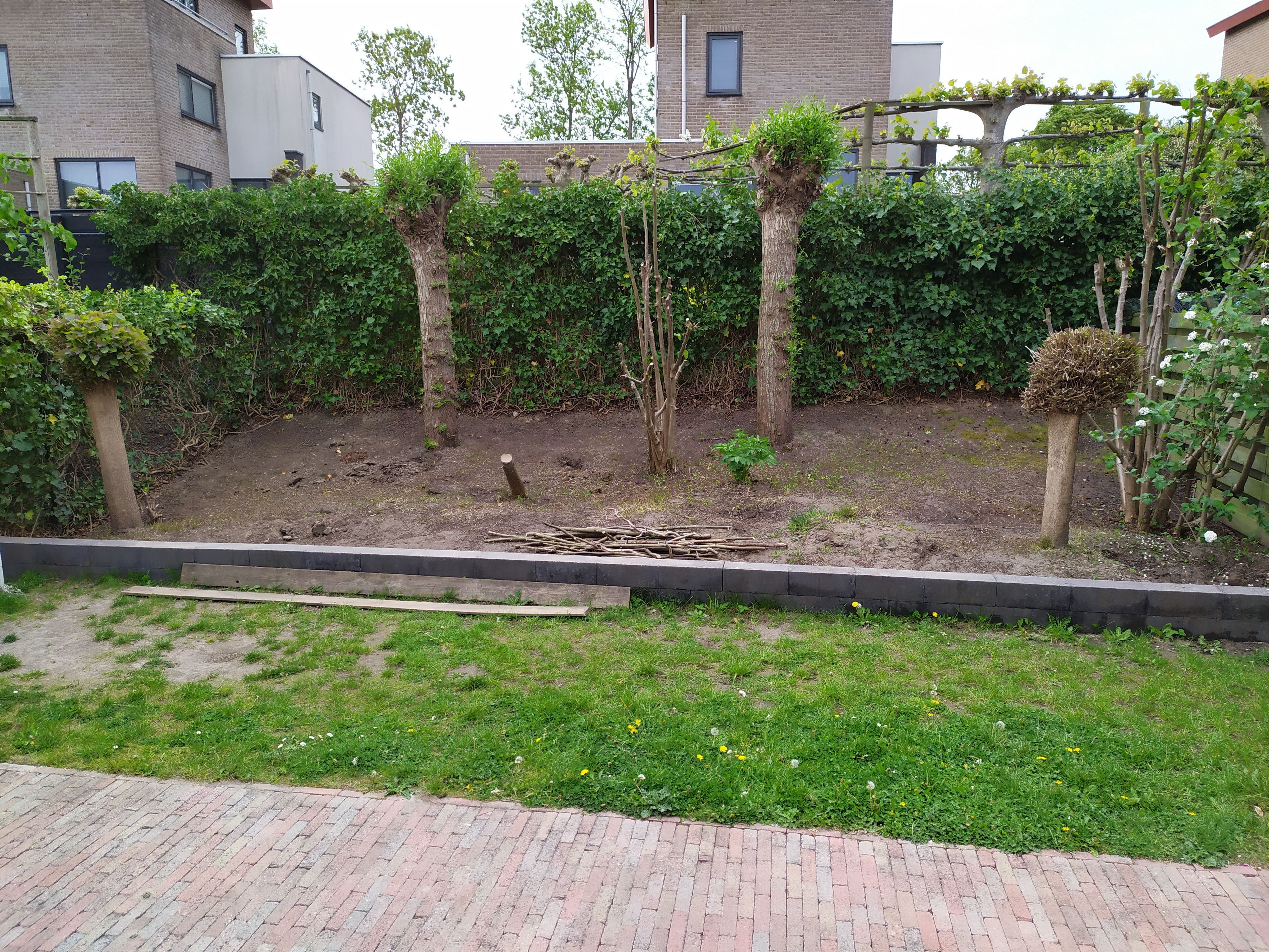 Tuin Boom rooien, Boomstronk verwijderen; 4 bomen Werkspot